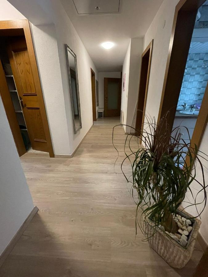 Apartment Wildalmblick Neukirchen am Großvenediger Εξωτερικό φωτογραφία